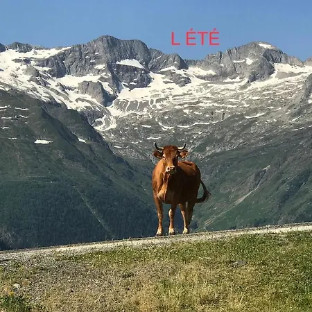 Princesse Des Neiges Apartment *