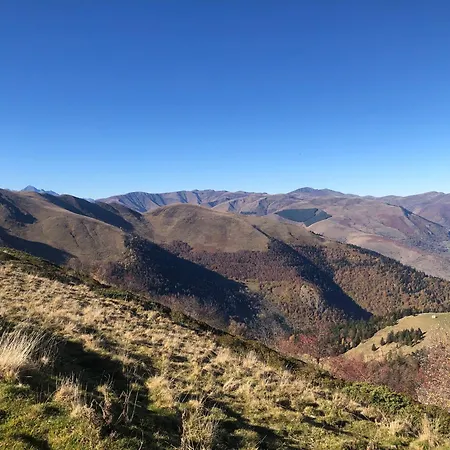 Princesse Des Neiges