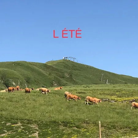 Apartamento Princesse Des Neiges *