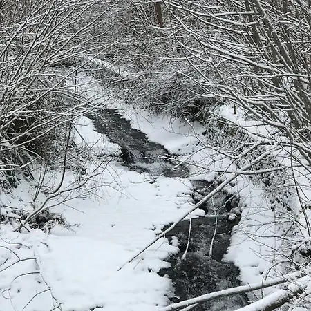 Princesse Des Neiges Apartamento