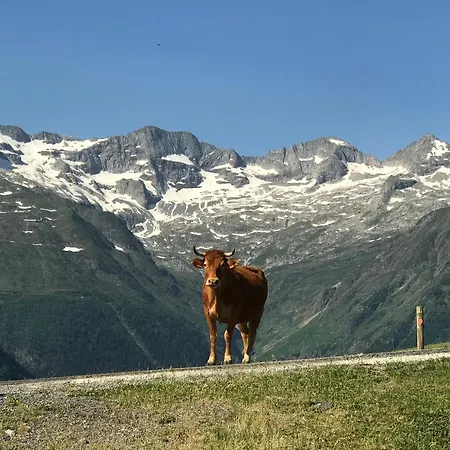 Princesse Des Neiges * Saint-Aventin