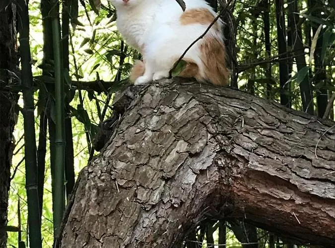 Princesse Des Neiges Апартаменты