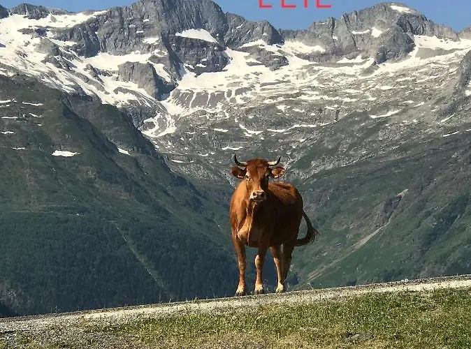 Princesse Des Neiges Апартаменты *