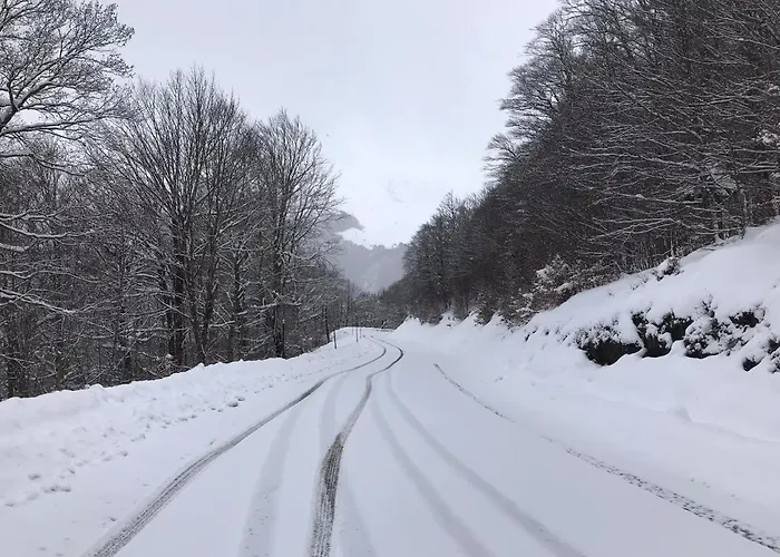 Апартаменты Princesse Des Neiges *