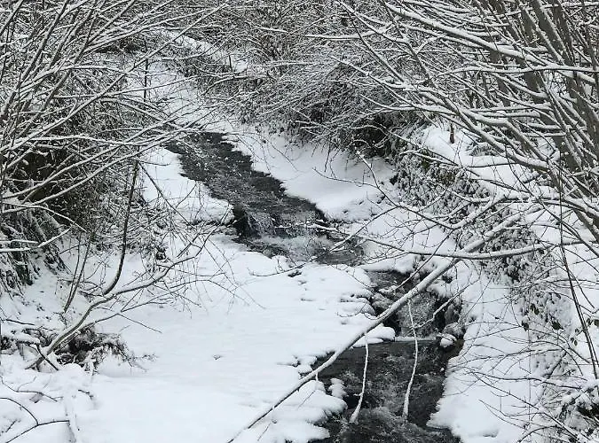 Princesse Des Neiges Апартаменты