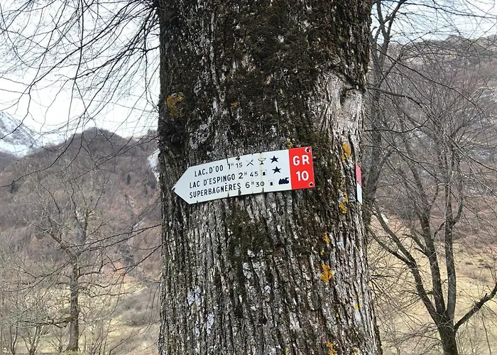 Princesse Des Neiges *