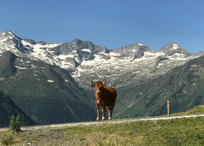 Princesse Des Neiges * Saint-Aventin